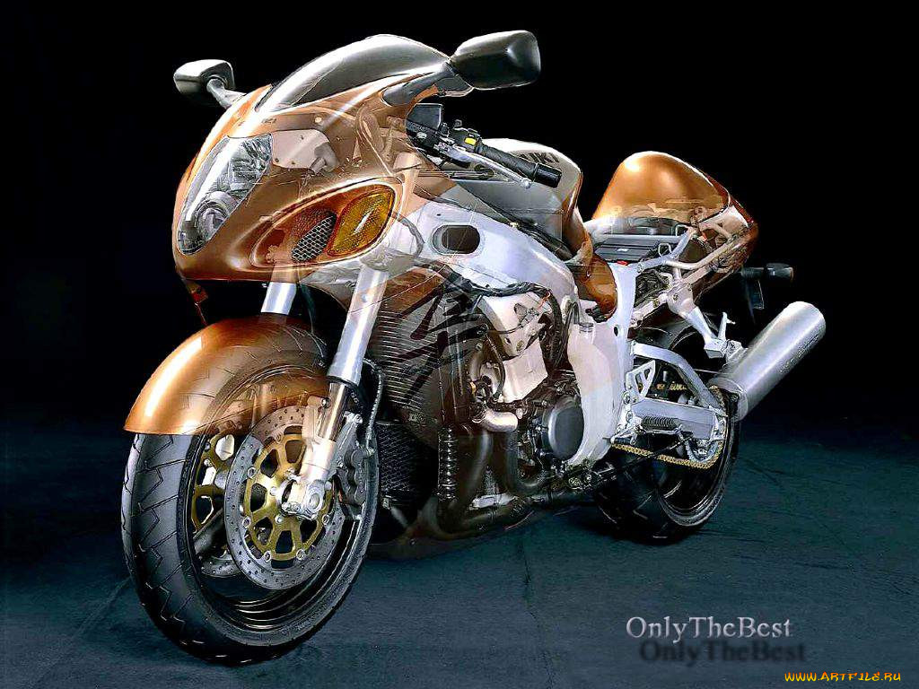 , suzuki